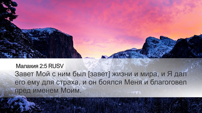 Малахия 2:5 RUSV Bible Verse Image