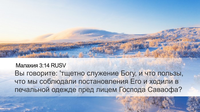 Малахия 3:14 RUSV Bible Verse Image