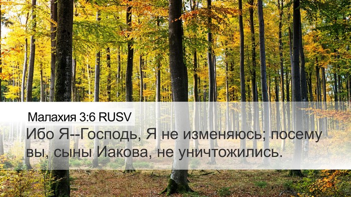 Малахия 3:6 RUSV Bible Verse Image