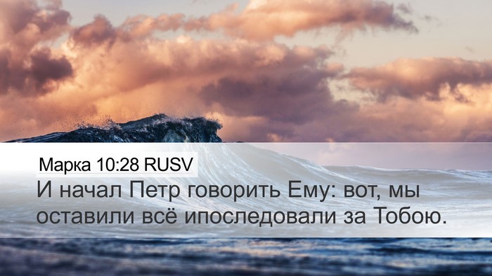 Марка 10:28 RUSV Bible Verse Image