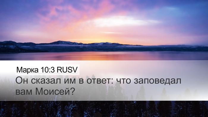 Марка 10:3 RUSV Desktop Wallpaper - Он сказал им в ответ: что - Desktop Bible Verse Wallpaper