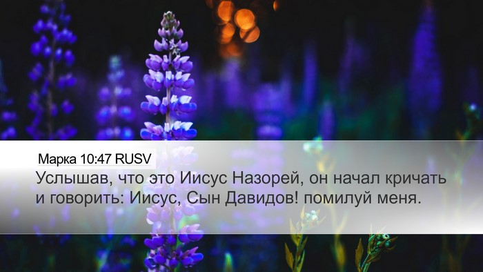 Марка 10:47 RUSV Bible Verse Image