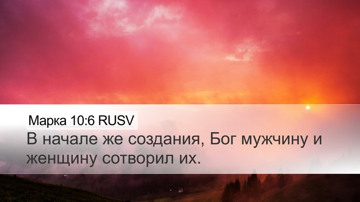 Марка 10:6 RUSV Bible Verse Image
