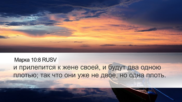 Марка 10:8 RUSV Desktop Wallpaper - и прилепится к жене своей, - Desktop Bible Verse Wallpaper