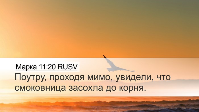 Марка 11:20 RUSV Bible Verse Image