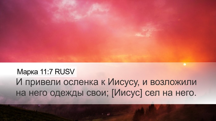 Марка 11:7 RUSV Desktop Wallpaper - И привели осленка к Иисусу, - Desktop Bible Verse Wallpaper