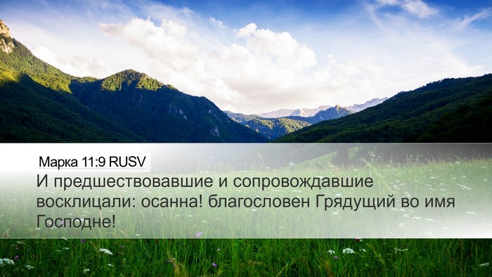 Марка 11:9 RUSV Bible Verse Image