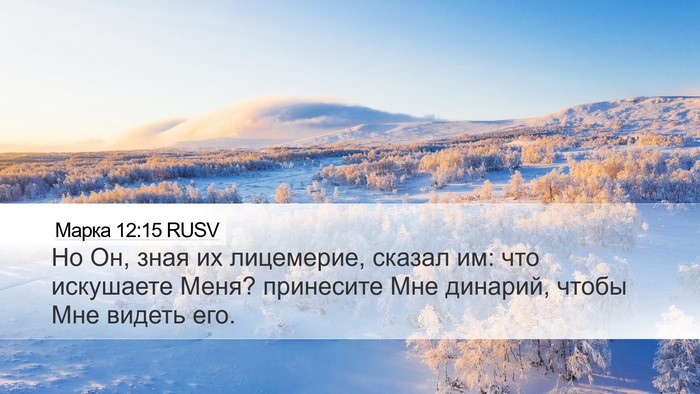 Марка 12:15 RUSV Bible Verse Image
