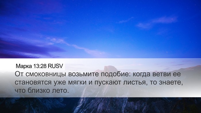 Марка 13:28 RUSV Bible Verse Image