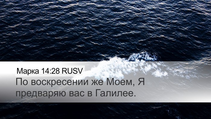 Марка 14:28 RUSV Bible Verse Image