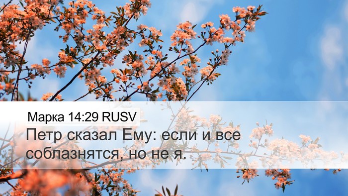 Марка 14:29 RUSV Bible Verse Image