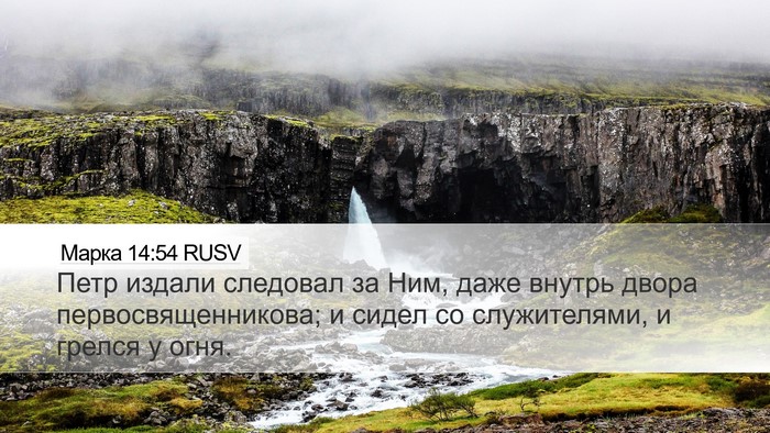 Марка 14:54 RUSV Bible Verse Image
