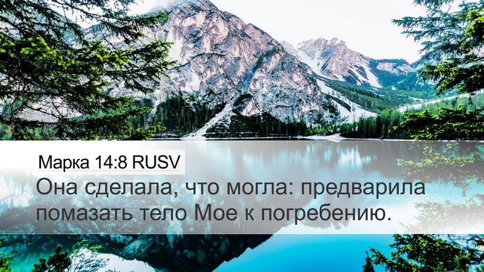 Марка 14:8 RUSV Bible Verse Image