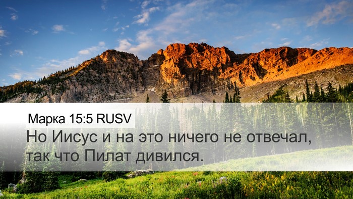 Марка 15:5 RUSV Bible Verse Image