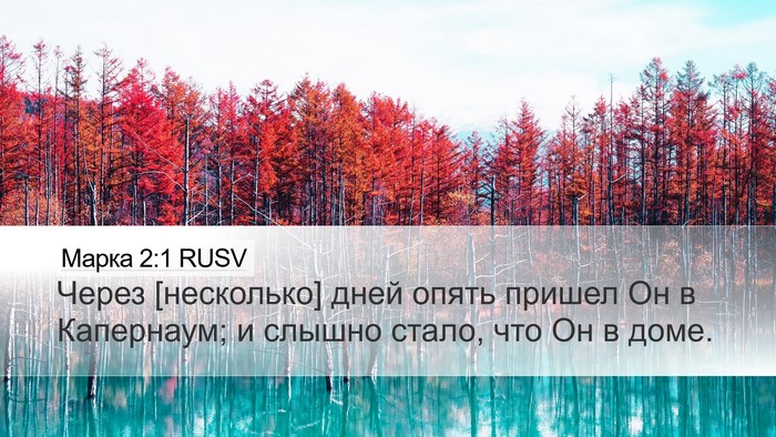 Марка 2:1 RUSV Bible Verse Image
