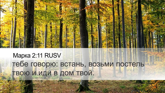 Марка 2:11 RUSV Desktop Wallpaper - тебе говорю: встань, возьми - Desktop Bible Verse Wallpaper