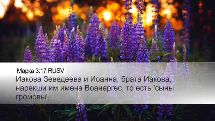 Марка 3:17 RUSV Bible Verse Image