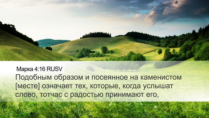 Марка 4:16 RUSV Bible Verse Image