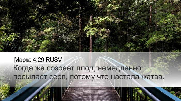 Марка 4:29 RUSV Bible Verse Image