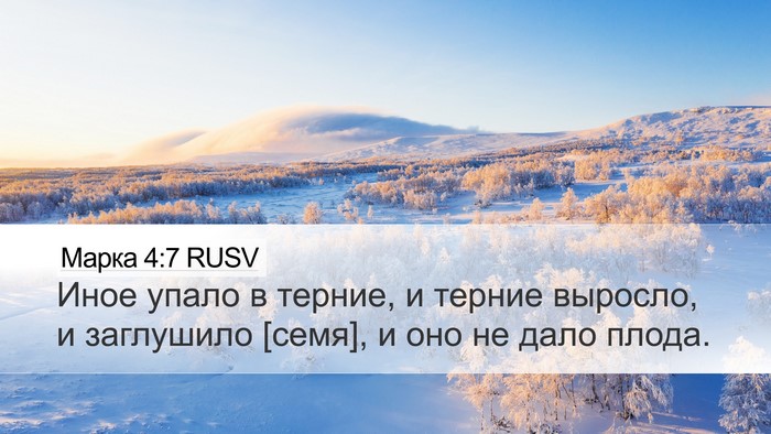Марка 4:7 RUSV Bible Verse Image