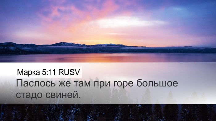 Марка 5:11 RUSV Bible Verse Image