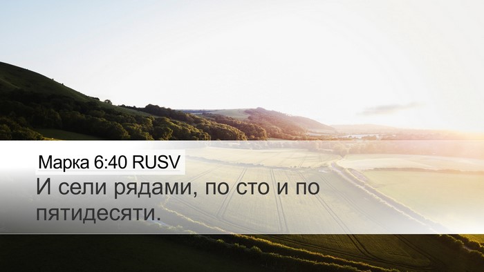 Марка 6:40 RUSV Desktop Wallpaper - И сели рядами, по сто и по - Desktop Bible Verse Wallpaper