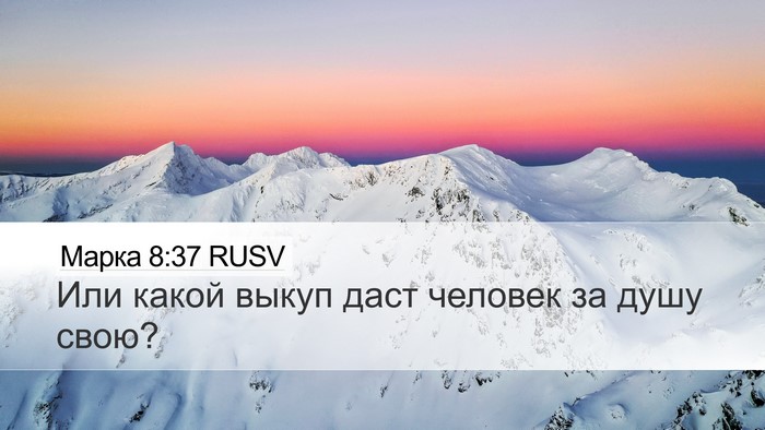 Марка 8:37 RUSV Desktop Wallpaper - Или какой выкуп даст - Desktop Bible Verse Wallpaper
