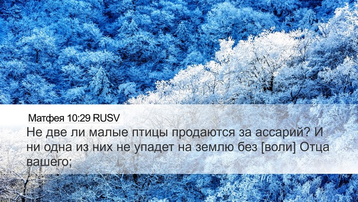 Матфея 10:29 RUSV Bible Verse Image