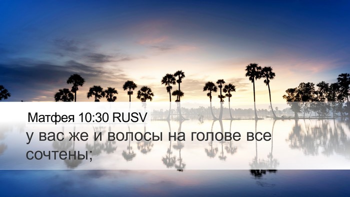 Матфея 10:30 RUSV Desktop Wallpaper - у вас же и волосы на голове - Desktop Bible Verse Wallpaper