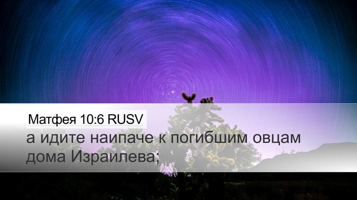 Матфея 10:6 RUSV Desktop Wallpaper - а идите наипаче к погибшим - Desktop Bible Verse Wallpaper