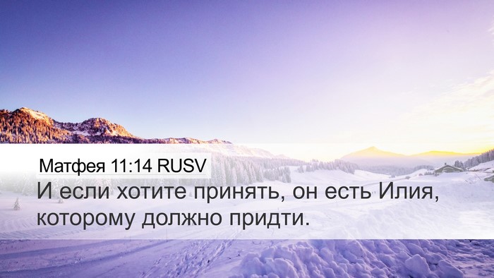 Матфея 11:14 RUSV Bible Verse Image