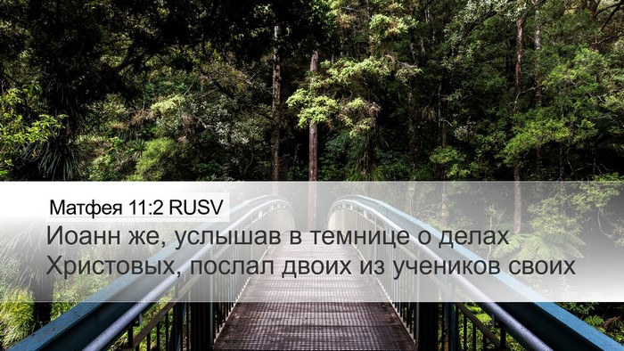 Матфея 11:2 RUSV Desktop Wallpaper - Иоанн же, услышав в темнице - Desktop Bible Verse Wallpaper