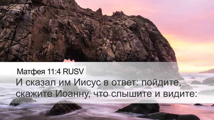 Матфея 11:4 RUSV Bible Verse Image