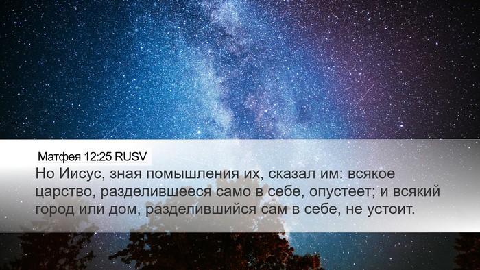 Матфея 12:25 RUSV Bible Verse Image