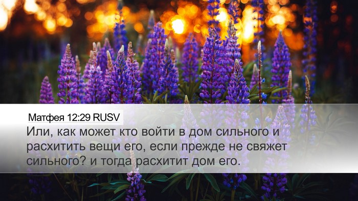 Матфея 12:29 RUSV Bible Verse Image