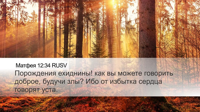 Матфея 12:34 RUSV Bible Verse Image