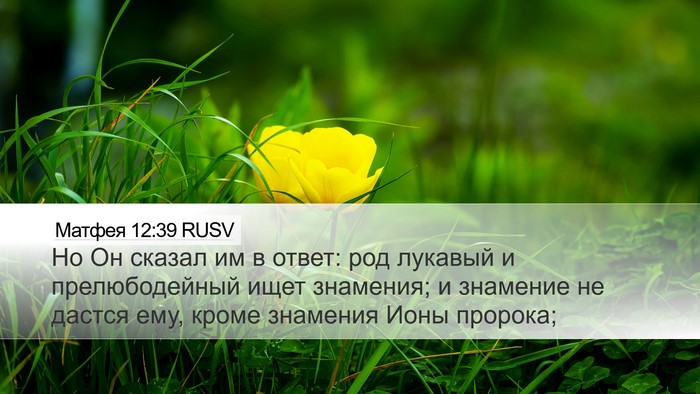 Матфея 12:39 RUSV Bible Verse Image