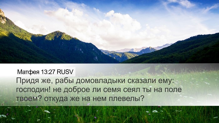 Матфея 13:27 RUSV Desktop Wallpaper - Придя же, рабы домовладыки - Desktop Bible Verse Wallpaper