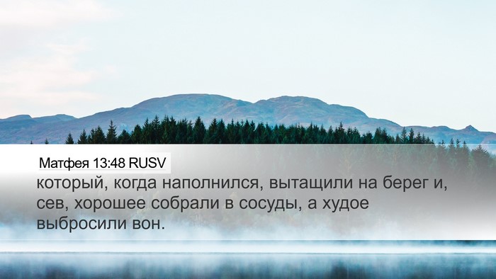 Матфея 13:48 RUSV Desktop Wallpaper - который, когда наполнился, - Desktop Bible Verse Wallpaper