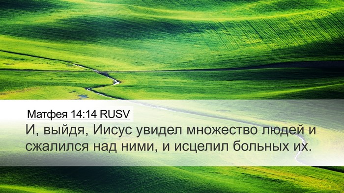 Матфея 14:14 RUSV Bible Verse Image