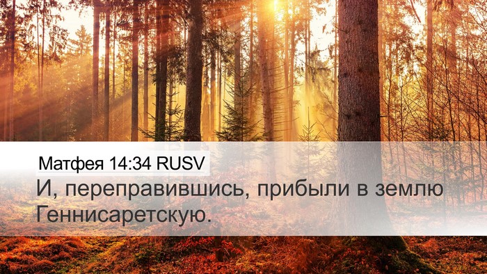 Матфея 14:34 RUSV Bible Verse Image