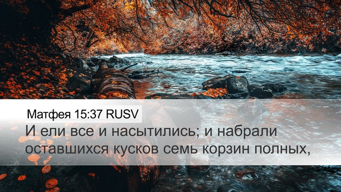 Матфея 15:37 RUSV Bible Verse Image