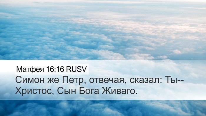 Матфея 16:16 RUSV Bible Verse Image