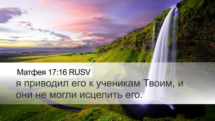 Матфея 17:16 RUSV Desktop Wallpaper - я приводил его к ученикам - Desktop Bible Verse Wallpaper