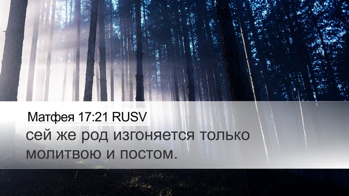Матфея 17:21 RUSV Desktop Wallpaper - сей же род изгоняется - Desktop Bible Verse Wallpaper