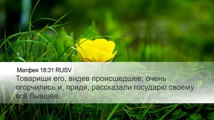 Матфея 18:31 RUSV Desktop Wallpaper - Товарищи его, видев - Desktop Bible Verse Wallpaper