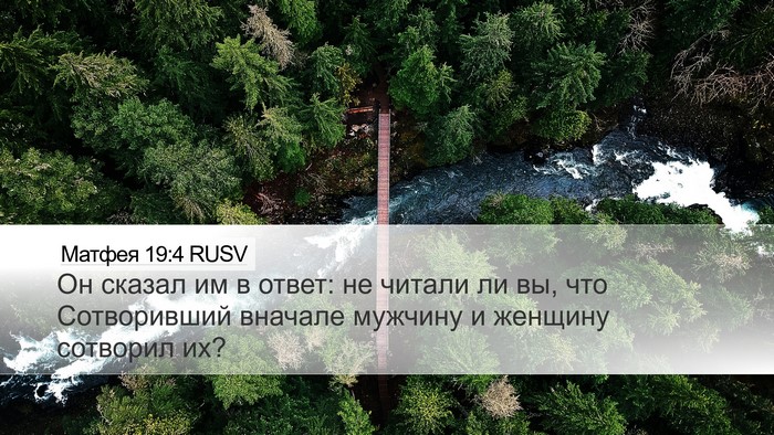 Матфея 19:4 RUSV Bible Verse Image