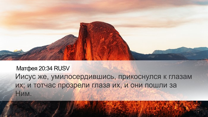 Матфея 20:34 RUSV Bible Verse Image