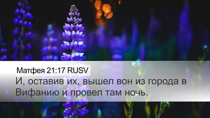 Матфея 21:17 RUSV Bible Verse Image