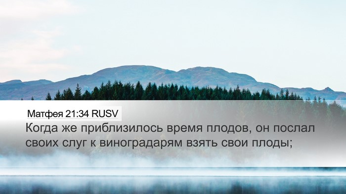 Матфея 21:34 RUSV Bible Verse Image